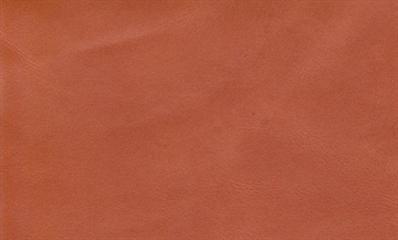 Anilin Læder - Orange (Halvt hud)
